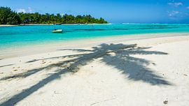 Hellblauer Ozean der Cookinseln von Shanti Hesse