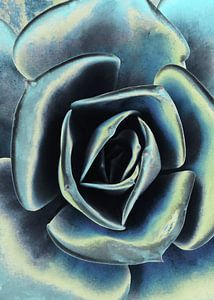 POPART OF SUCCULENTS III-1