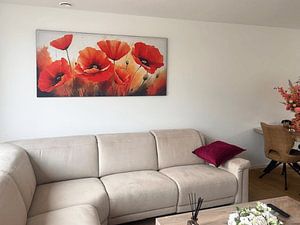 Poppies