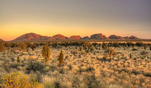 Outback Australia by Arthur de Rijke