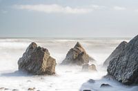 The coast in earthy pastel shades