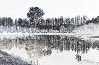 Bomen  in zwart-wit-2 van Yvonne Blokland thumbnail