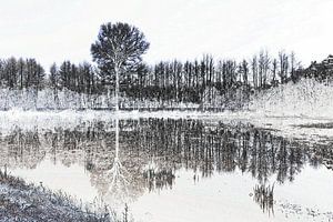 Trees in black and white-2 von Yvonne Blokland