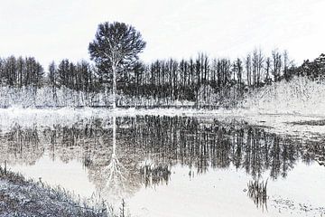 Bomen  in zwart-wit-2 van Yvonne Blokland
