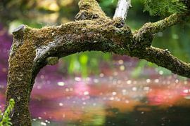 Japanese garden 6 by Raoul Suermondt