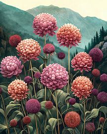 Allium van Jacky