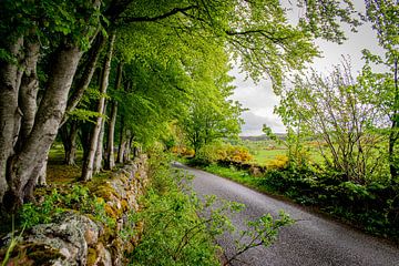 Schotland - Typisch Schotse Landweg met Stenen Muur van Rick Massar