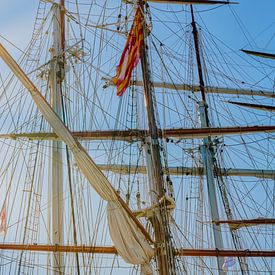 Tall Ship Morgenster Sail Den Helder by eric van der eijk