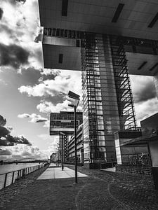 Kranhäuser im Rheinauhafen