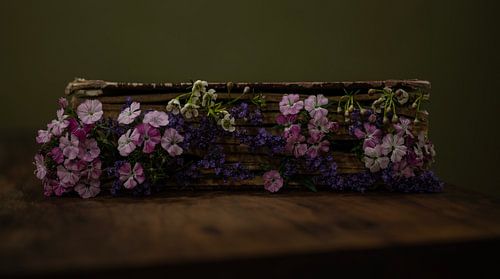 De bijbel van de heks