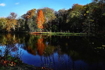 Vijver in het park van Jürgen Hüsmert