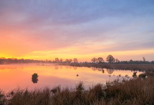 Fochteloërveen - Drenthe (Nederland)
