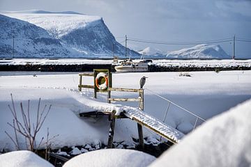 Winter landschap met reiger op Godøy, Ålesund, Noorwegen van qtx