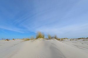 Kleine Dünen am Strand