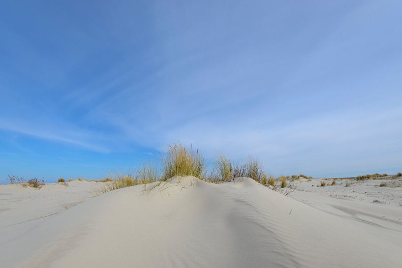 Small dunes at the beach by Sjoerd van der Wal Photography