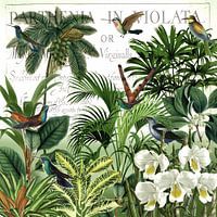 Heimat der Kolibris 2