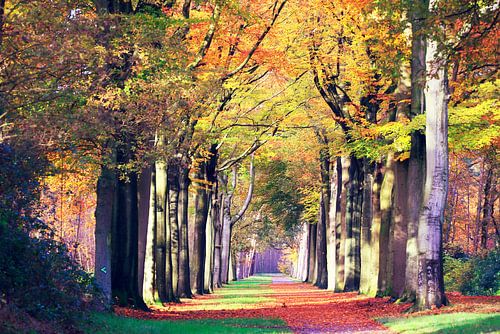 a feast for the eyes.... 