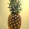Stilleven met een ananas van Humphry Jacobs
