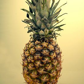 Nature morte avec un ananas sur Humphry Jacobs