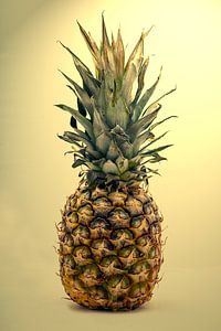 Stilleven met een ananas