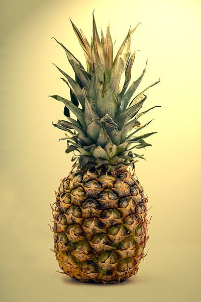 Still life with a pineapple by Humphry Jacobs