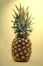 Still life with a pineapple by Humphry Jacobs thumbnail