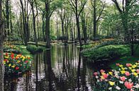 Keukenhof par Sebastiaan van Venetiën Aperçu