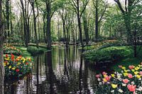 Keukenhof