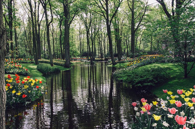 Keukenhof par Sebastiaan van Venetiën