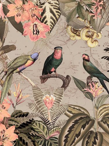 Vie des oiseaux exotiques dans la jungle