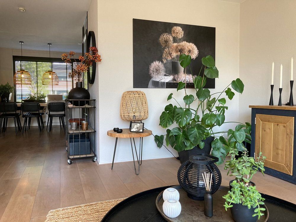 Dandelion Seed Pod  by Lydia Jacobs 