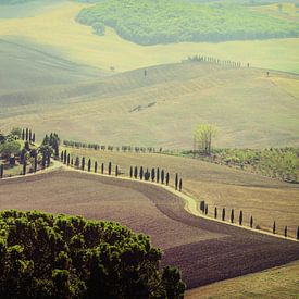 Views over the Tuscan countryside near Pienza by André Blom Fotografie Utrecht