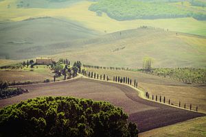 Blick über die toskanische Landschaft bei Pienza