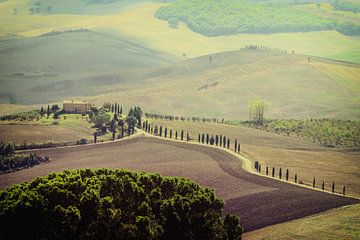 Uitzicht over het Toscaans landschap bij Pienza