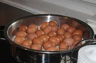 Een pan gevuld met verse eieren  par Veluws Aperçu