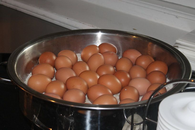 Een pan gevuld met verse eieren  par Veluws