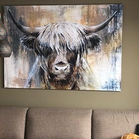 Customer photo: Highland Cow I by Atelier Paint-Ing, on canvas