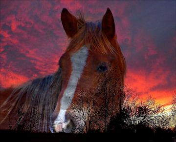 Sunset Horse van Christy Leigh