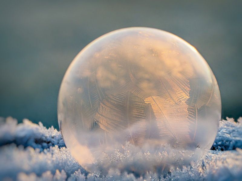 Frozen art #6 by Lex Schulte