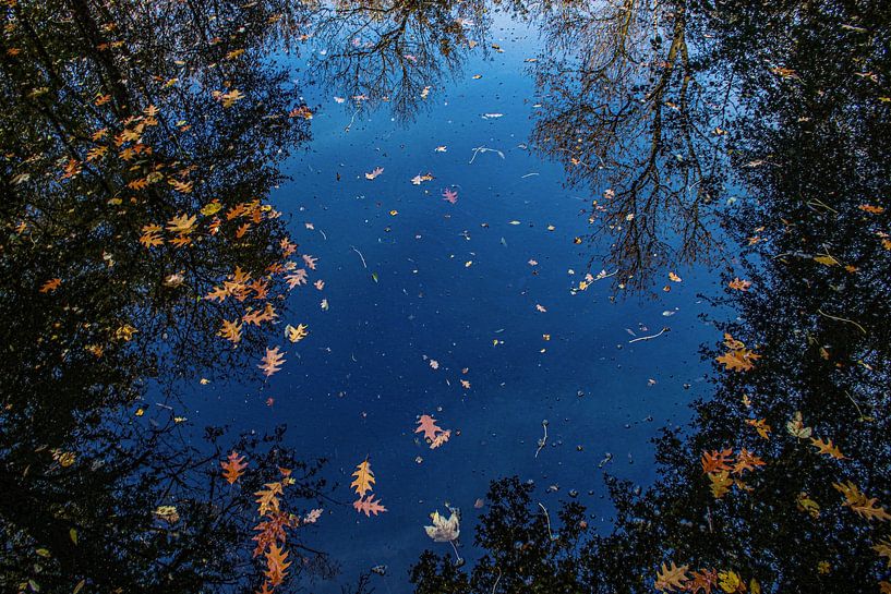 water by richard admiraal