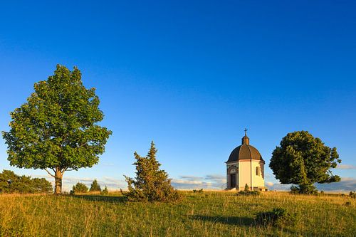 Jeneverbesheide "Alter Berg" met de Sint-Jozefkapel bij Böttingen in het natuurpark Opper-Donau