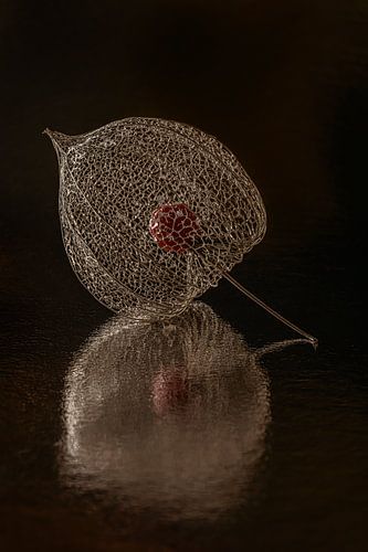 Het gouden lampionnetje met herfstachtige warme goud en donkerbruine kleuren