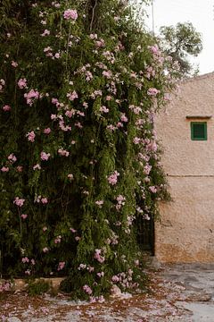 Bloemenwand, Mallorca van Joke van Veen