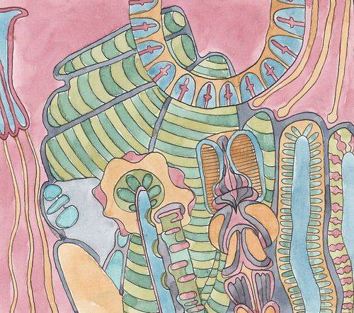 Végétation amorphe