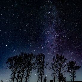 Milchstraße Nachtaufnahme von Dominik Schulz