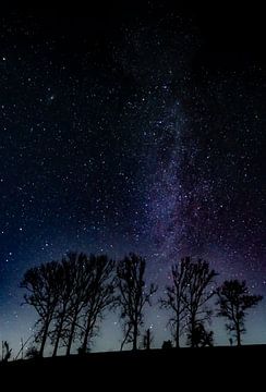 Photo de nuit de la Voie lactée sur Dominik Schulz