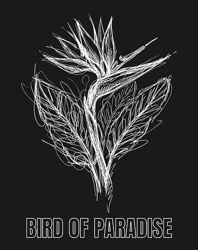 Minimalistisches Poster mit einer Strichzeichnung einer Vergissmeinnicht-Blume – Black Edition
