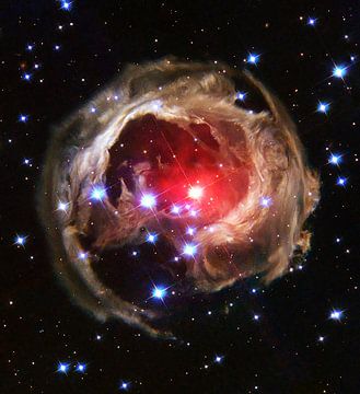 Hubble von Brian Morgan