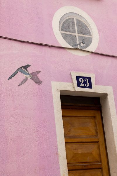 Rue de cremieux, street photography by Nynke Altenburg