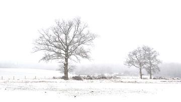 Bomen in de sneeuw van Corinne Welp